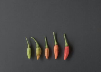 Thai Cuisine Lagda Hai Thai