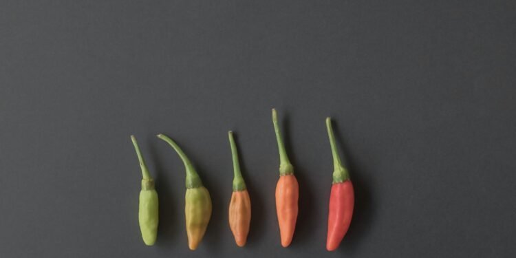 Thai Cuisine Lagda Hai Thai