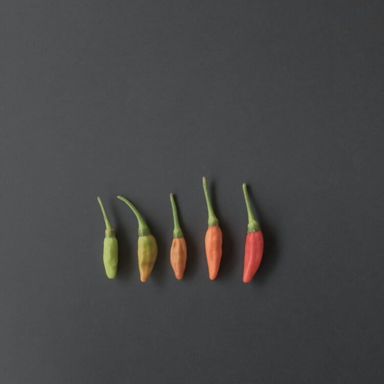 Thai Cuisine Lagda Hai Thai