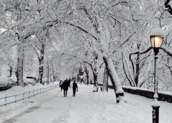 Things you need for a White Christmas