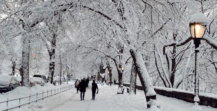 Things you need for a White Christmas